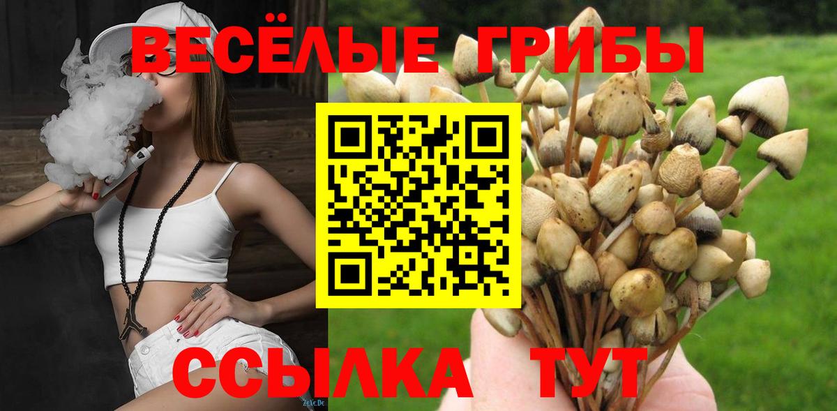 Галлюциногенные грибы Magic Shrooms  Галлюциногенные грибы GOLDEN TEACHER  Вход с VPN  Вязники 